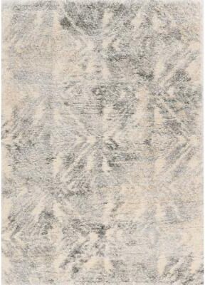 Porch & Den Corylus Vintage Geometric Shag Area Rug
