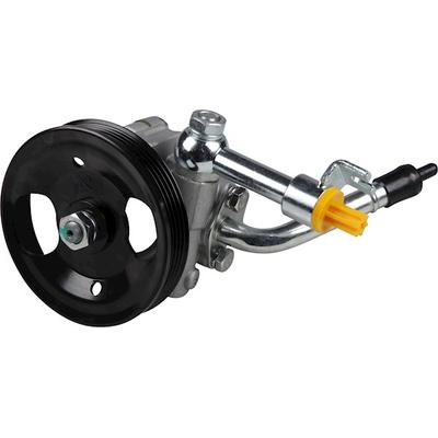 JP GROUP Hydraulikpumpe, Lenkung 4045100100 für NISSAN