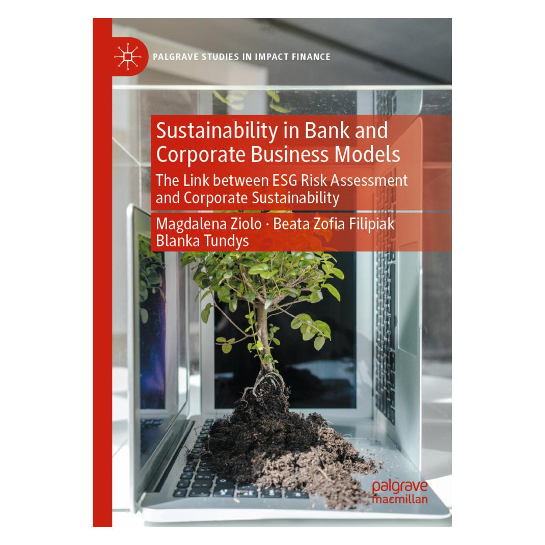 Springer Sustainability in Bank and Corporate Business Models (Englisch, Softcover, Beata Zoa Filipiak, Blanka Tundys, Magdalena Ziolo) (56849275)