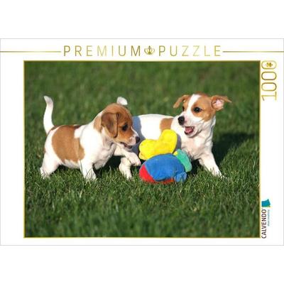 CALVENDO Puzzle Jack Russel Welpen | 1000 Teile Lege-Größe 64x48cm Foto-Puzzle für glückliche Stunden
