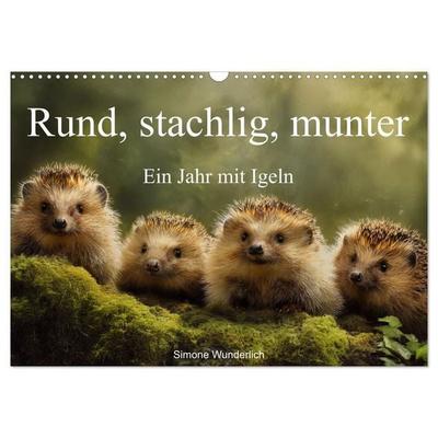 Rund, stachlig, munter - Ein Jahr mit Igeln (Wandkalender 2027 DIN A3 quer), CALVENDO Monatskalender
