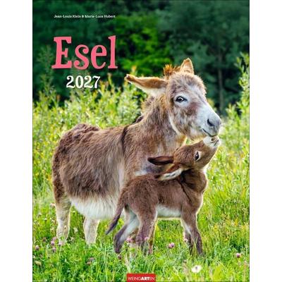 Esel Kalender 2027