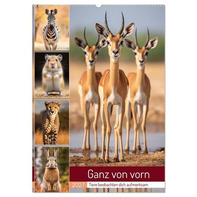 Ganz von vorn (Wandkalender 2027 DIN A2 hoch), CALVENDO Monatskalender