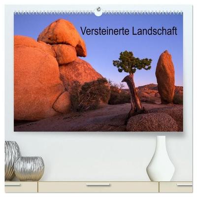 Versteinerte Landschaft (hochwertiger Premium Wandkalender 2027 DIN A2 quer), Kunstdruck in Hochglanz