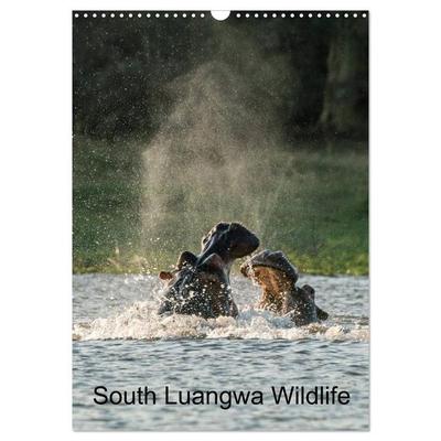 South Luangwa Wildlife (Wall Calendar 2026 DIN A3 portrait), CALVENDO 12 Month Wall Calendar