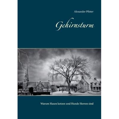 Gehirnsturm, Taschenbuch von Alexander Pfister, BoD – Books on Demand, 978-3-7448-1002-9