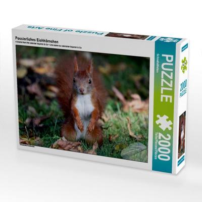 Possierliches Eichhörnchen (Puzzle)