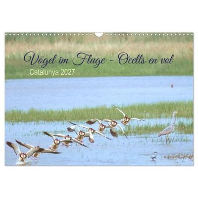 Vögel im Fluge - Ocells en vol (Wandkalender 2027 DIN A3 quer), CALVENDO Monatskalender