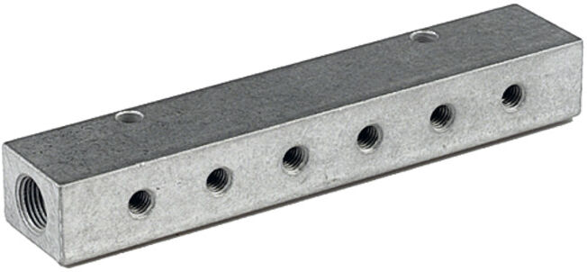 Riegler Barre de distribution, sorties unilatérales, entrée 2x1/8, sortie 6xM5 (VT 15506)