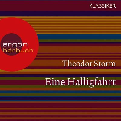Eine Halligfahrt - Theodor Storm, Audio, 9783732403967