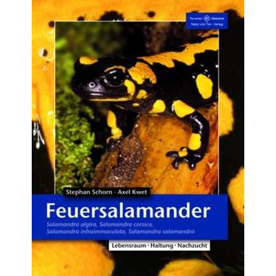 Feuersalamander, Taschenbuch von Stephan Schorn,Axel Kwet, Natur Und Tier, 978-3-86659-156-1