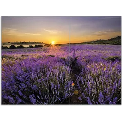 Wallario Herdabdeckplatte 60 x 52 cm (BxH), 1-teilig Sonnenuntergang über dem Lavendel