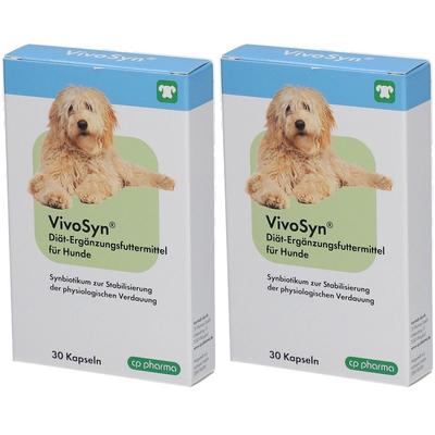 CP VivoSyn Diät-Erg.-Futterm.Kapseln f.Hunde 2x 2x30 St Kapseln