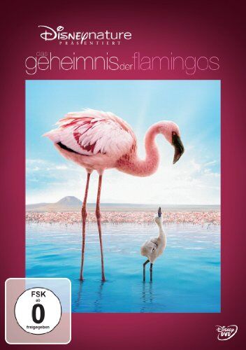 Matthew Aeberhard - Das Geheimnis der Flamingos - Preis vom 17.10.2026 19:25:27 h