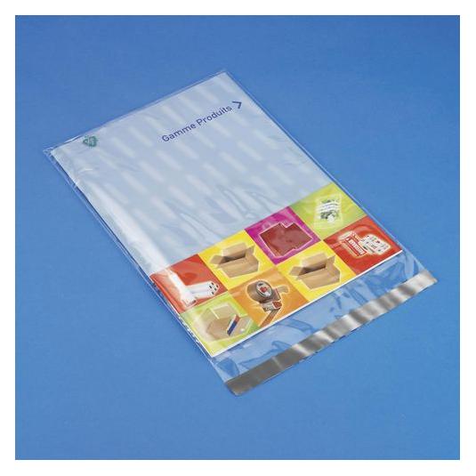 Raja Wiederverschliessbare Beutel SPP2231 Transparent 220 x 310 mm (SPP2231)