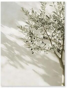 Uplift Essentials Botanical Narrative Canvas High Definition Mediterranean Architectural Art style 1 8 X 12 In