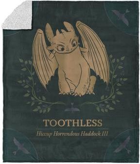 How to Train Your Dragon Hiccup and Toothless Silk Touch Sherpa Throw Blanket 50x60 inches by THE NORTHWEST GROUP in Dragon (Size OS)