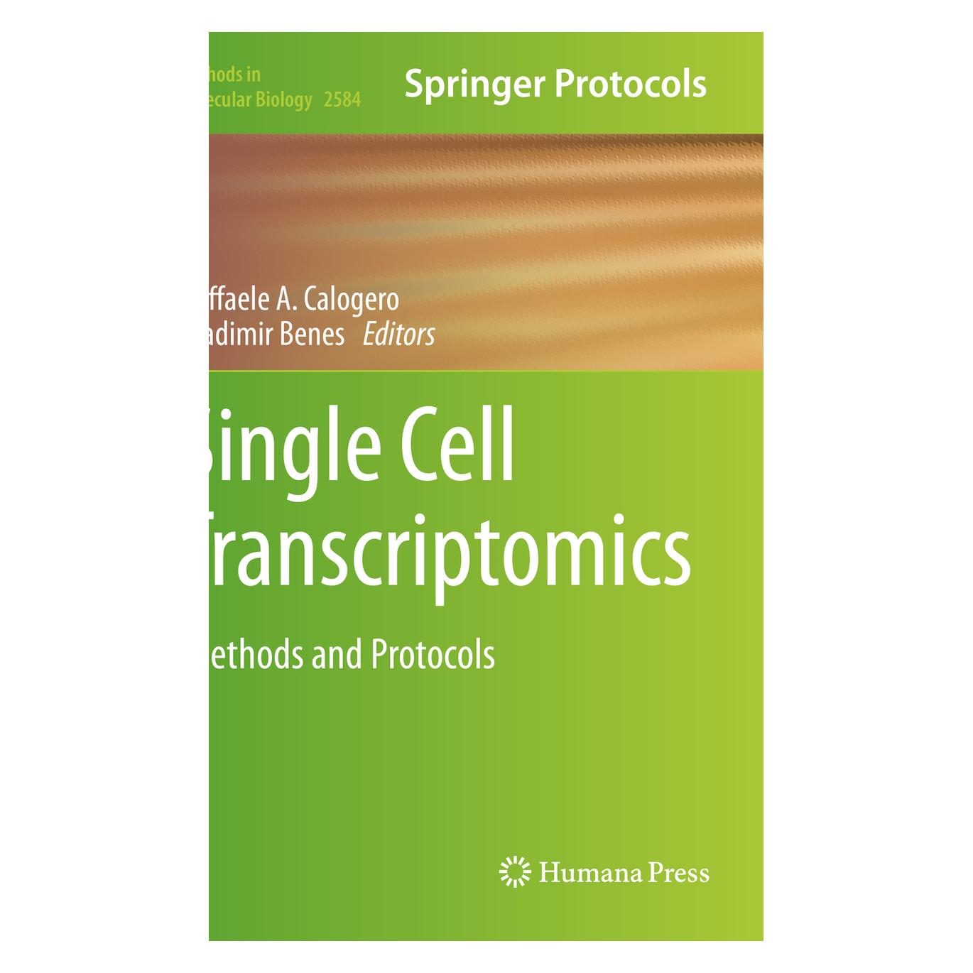 Springer Single Cell Transcriptomics (Englisch, Softcover, Raffaele A. Calogero, Vladimir Benes) (56985242)
