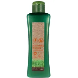 Salerm, Shampoo, Treated Hair Shampoo (Flüssiges Shampoo, 300 ml)