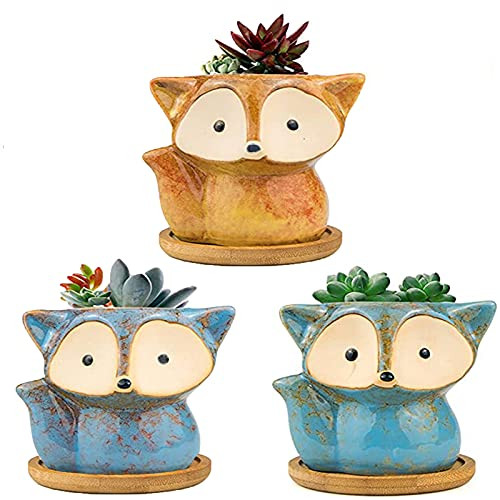 Set van 3 keramische mini vetplantenpotjes met accessoires voor woondecoratie