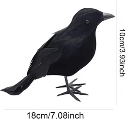 Inspire Curations Realistic Artificial Crow Set 6PCS Halloween Crow Decorations Black Raven Props 1pcs crow A as Show
