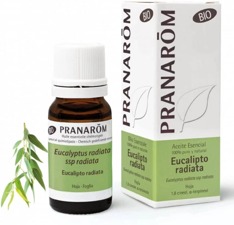 Pranarom Aceite Esencial De Eucalipto Radiata Hoja Bio