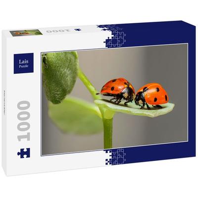 Lais Puzzle Marienkäfer 1000 Teile