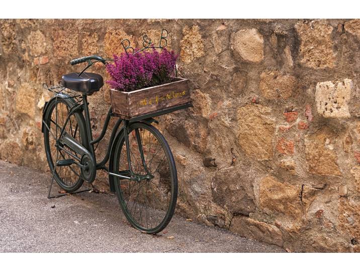 Papermoon ALTSTADT-VINTAGE FAHRRAD XXL