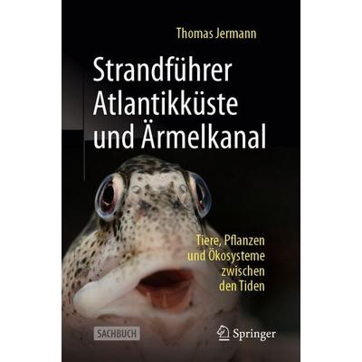 Strandführer Atlantikküste und Ärmelkanal, Taschenbuch von Thomas Jermann, Springer Berlin, 978-3-662-71234-4