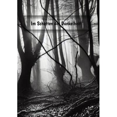 Im Schatten der Dunkelheit, Taschenbuch von Max Jakob Auerbach, Tredition, 978-3-384-50455-5