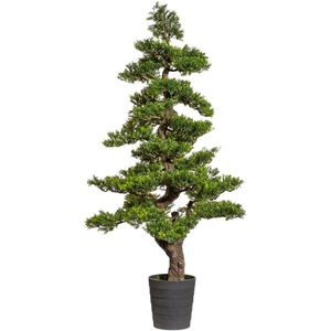Creativ-green Kunstpflanze Bonsai Teeblatt, im Topf, Höhe 160 cm