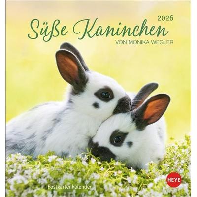 Süße Kaninchen Postkartenkalender 2026