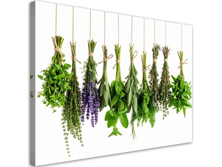 Feeby Leinwandbild Hängende Kräuter Gewürze Pflanzen 100x70cm, Grün, Essen/Getränk, Rechteckig, 100x70 cm, Bilder & Rahmen, Bilder, Leinwandbilder