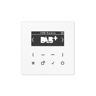 JUNG Smart Radio DABLS1BTWW DAB+ m. Bluetooth -Set Mono