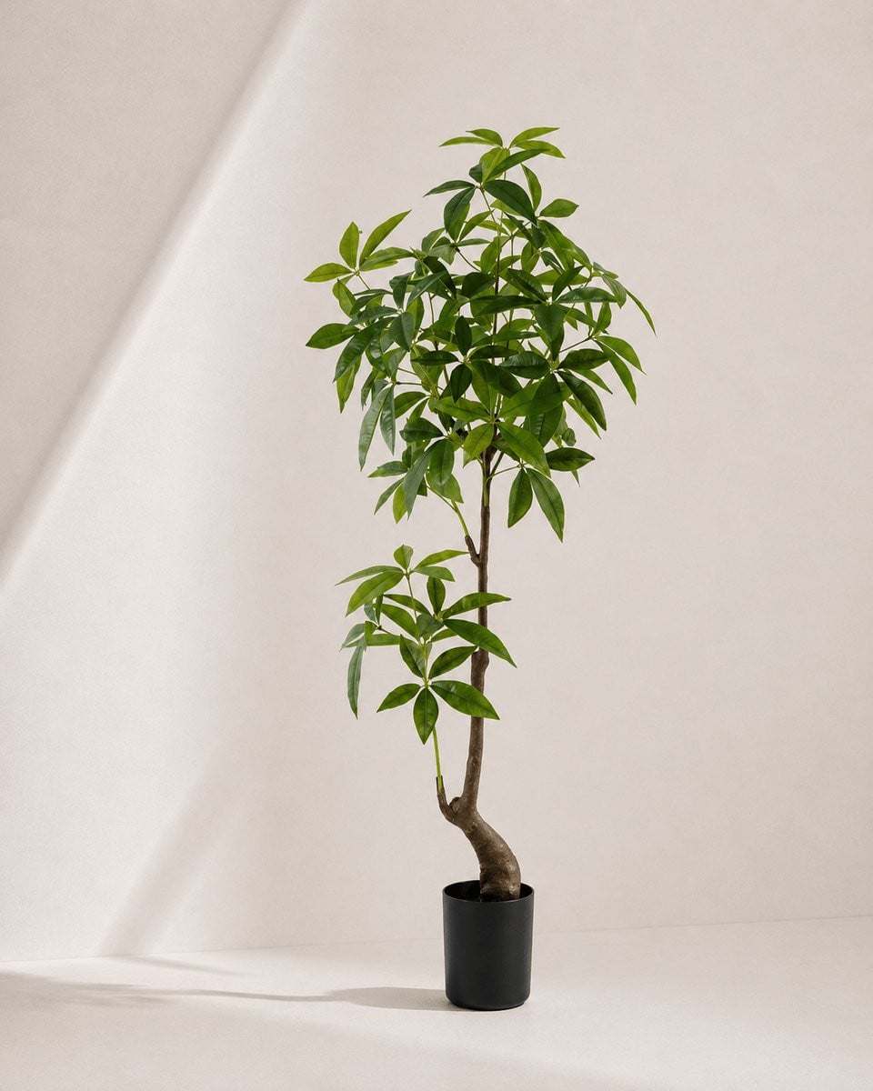 Kunstplant Pachira Macrocarpa Groen - 150 cm
