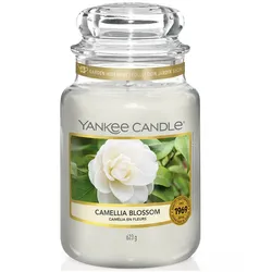 Camellia Blossom 623g