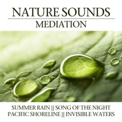 Nature Sounds Meditation - , CD, 0194111024977