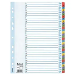 Esselte Kartonregister 1-31 farbige Taben A4 weiß weiß, 22.5x29.7 cm