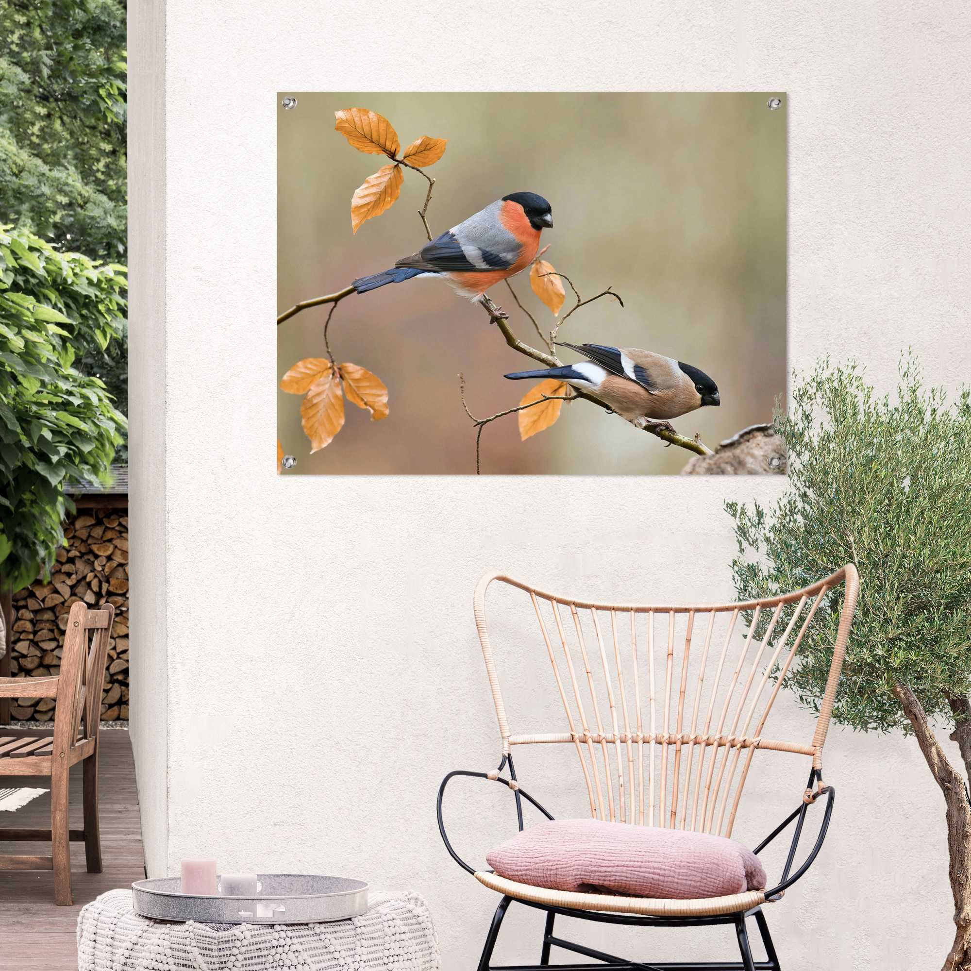 Reinders! Poster REINDERS "Gimpel", orange (farbe bild(er): orange), B:80cm H:60cm T:0,1cm, Leinwand, Bilder, Poster, Outdoor für Garten oder Balkon
