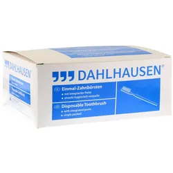 Einmal Zahnbürste mit Paste 100 St