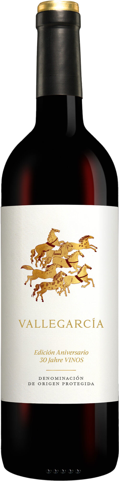 Pago de Vallegarcía Vallegarcía Edición Aniversario 2024 13.5% Vol. Rotwein Trocken aus Spanien