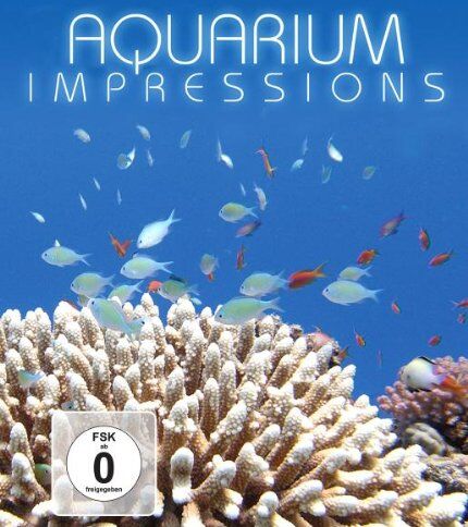 Aquarium Impressions - Preis vom 13.10.2026 11:25:28 h