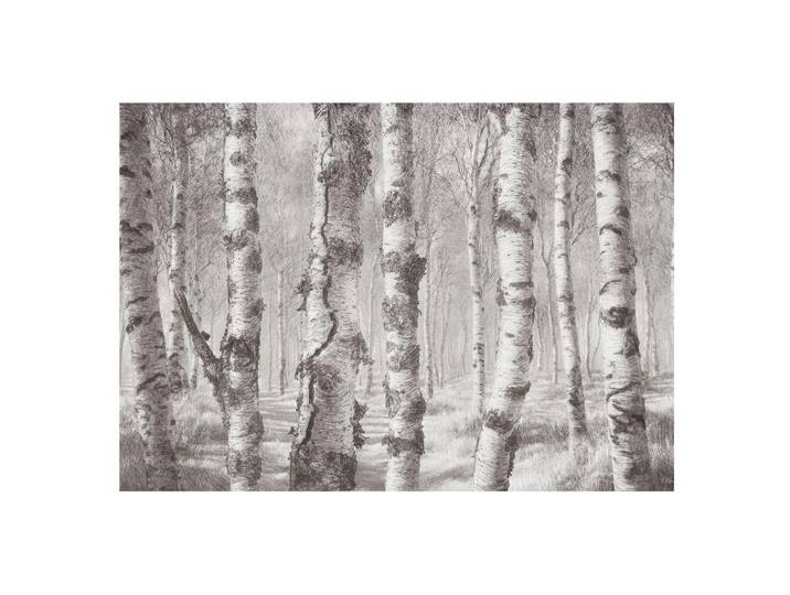 Wallfluent Fototapete 208x146 cm - Birkenwald, Schwarz, 208x146 cm, Tapeten & Wandverkleidungen, Fototapeten