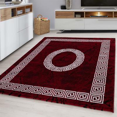 Teppich AYYILDIZ TEPPICHE "Plus 8009", rot, B:120cm H:6mm L:170cm, Polypropylen (PP), Teppiche, Teppich, Läufer, gemusterter Flachflor, robust, Webteppich, alle Räume