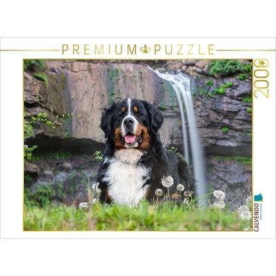 CALVENDO Puzzle Ein Plätzchen im Schatten | 2000 Teile Lege-Größe 90x67cm Foto-Puzzle für glückliche Stunden