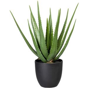 Creativ-green Kunstpflanze Aloe Vera, im Topf, Höhe 55 cm
