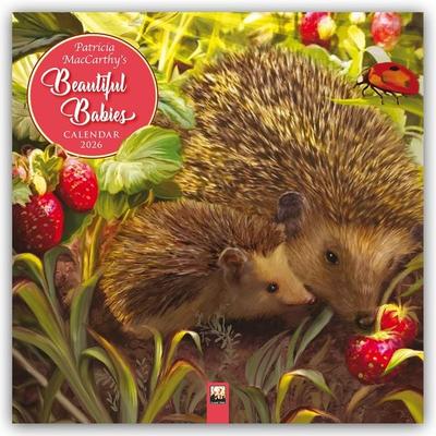 Patricia MacCarthy's Beautiful Babies – Wunderschöne Tierbabys 2026 – Original Flame Tree Publishing-Kalender [Kalender], Kalender von Flame Tree
