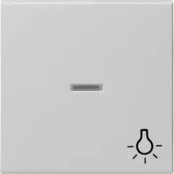 Gira 0674015 Alt - Wippe Kontrollf. + Symb. Licht System 55 Grau m