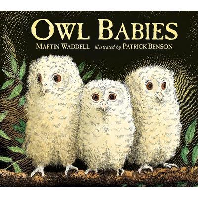 Owl Babies, Gebundene Ausgabe von Martin Waddell, Walker Books, 978-1-4063-7437-7