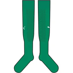 PUMA teamLIGA 26 Stutzenstrümpfe 05 - sport green/puma white 43-46
